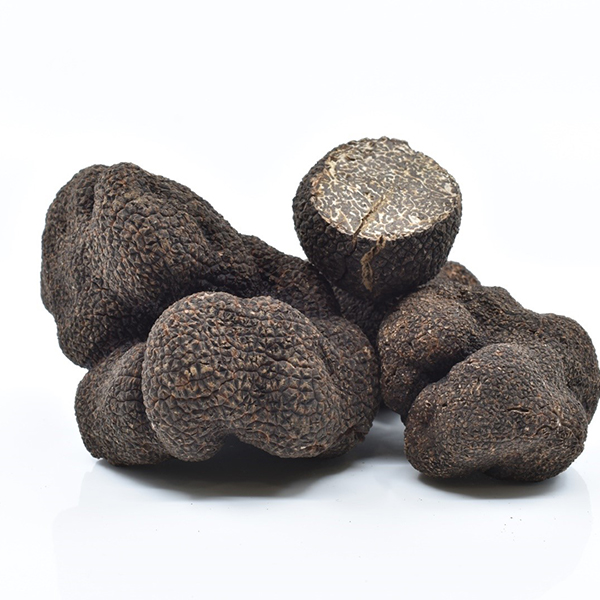 Zigante Fresh Truffles - Getaggt "black truffle"- Zigante ...