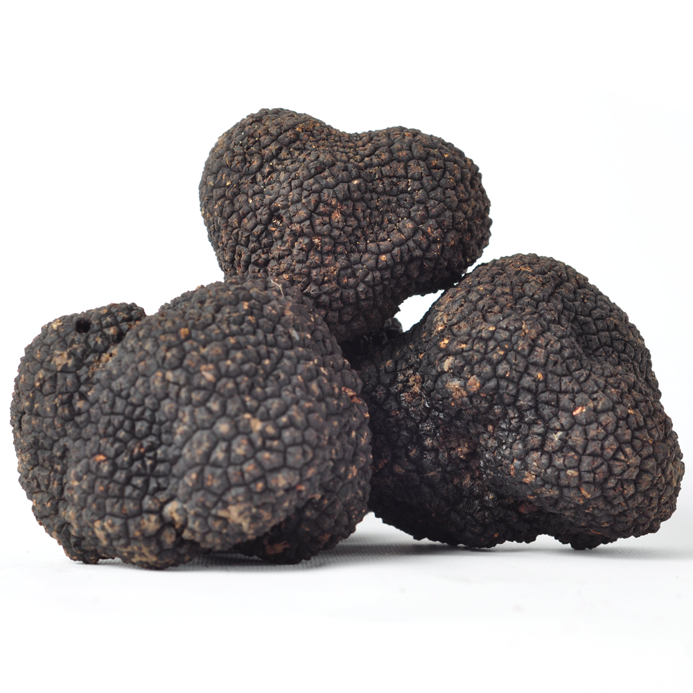 Fresh truffle Fresh Summer Truffle-Tuber Aestivum - Zigante Tartufi Online Shop, Truffle Shop, Truffle Products