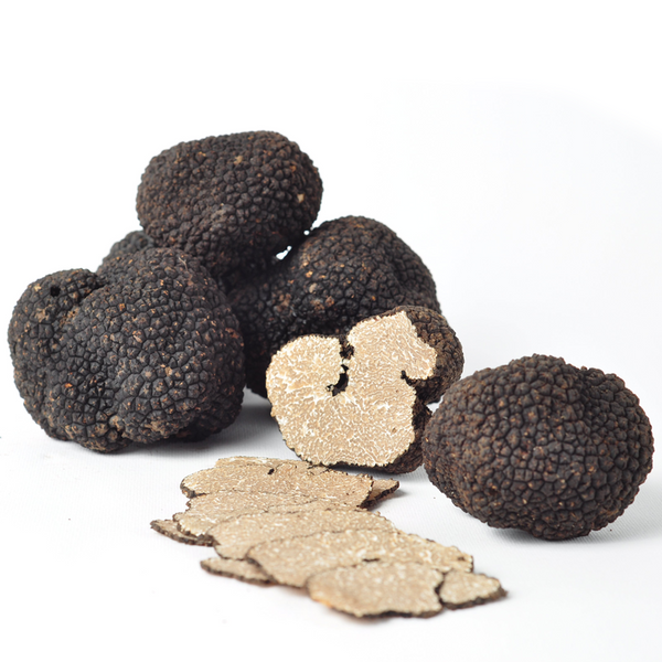 Zigante Fresh Truffles - Zigante Tartufi Online Shop