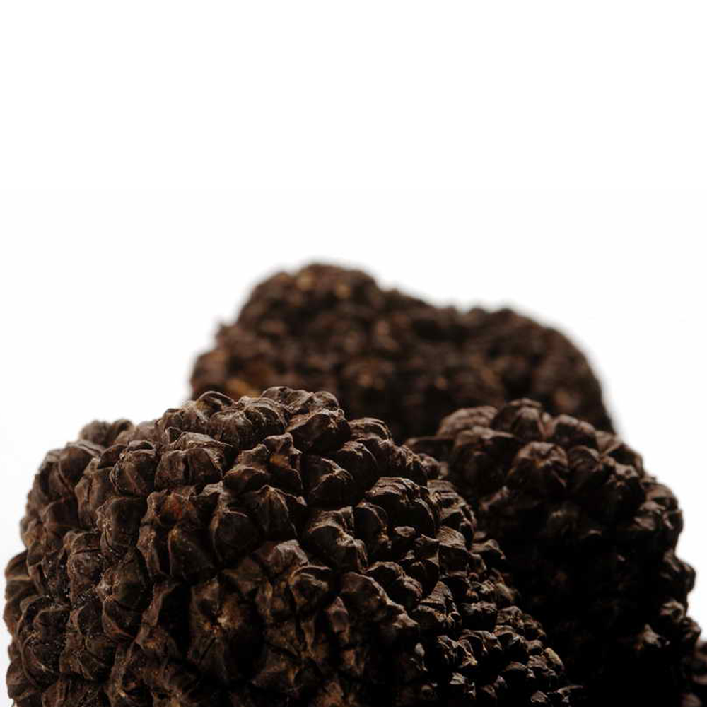 Fresh truffle Fresh Summer Truffle-Tuber Aestivum - Zigante Tartufi Online Shop, Truffle Shop, Truffle Products