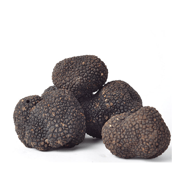 Fresh Black Truffle-Tuber Uncinatum - Zigante Tartufi Online Shop