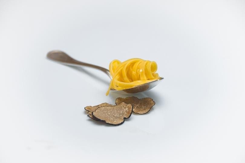 New arrivals Linguine with Truffles - Zigante Tartufi Online Shop, Truffle Shop, Truffle Products